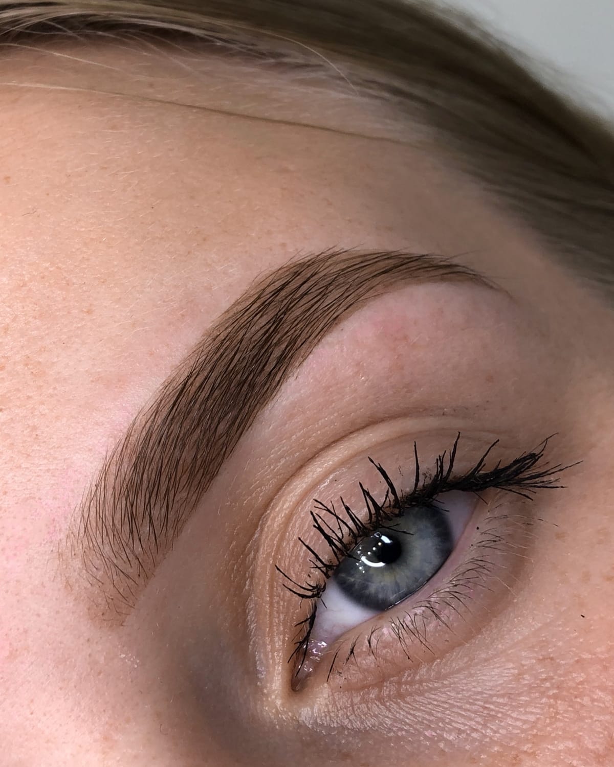 Lash and brow results by Semmy Beauty, Venice FL