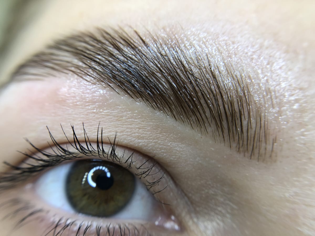Lash and brow results by Semmy Beauty, Venice FL