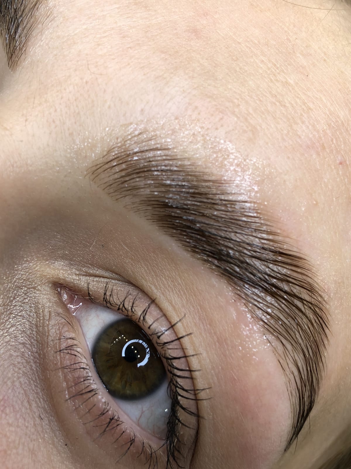 Lash and brow results by Semmy Beauty, Venice FL