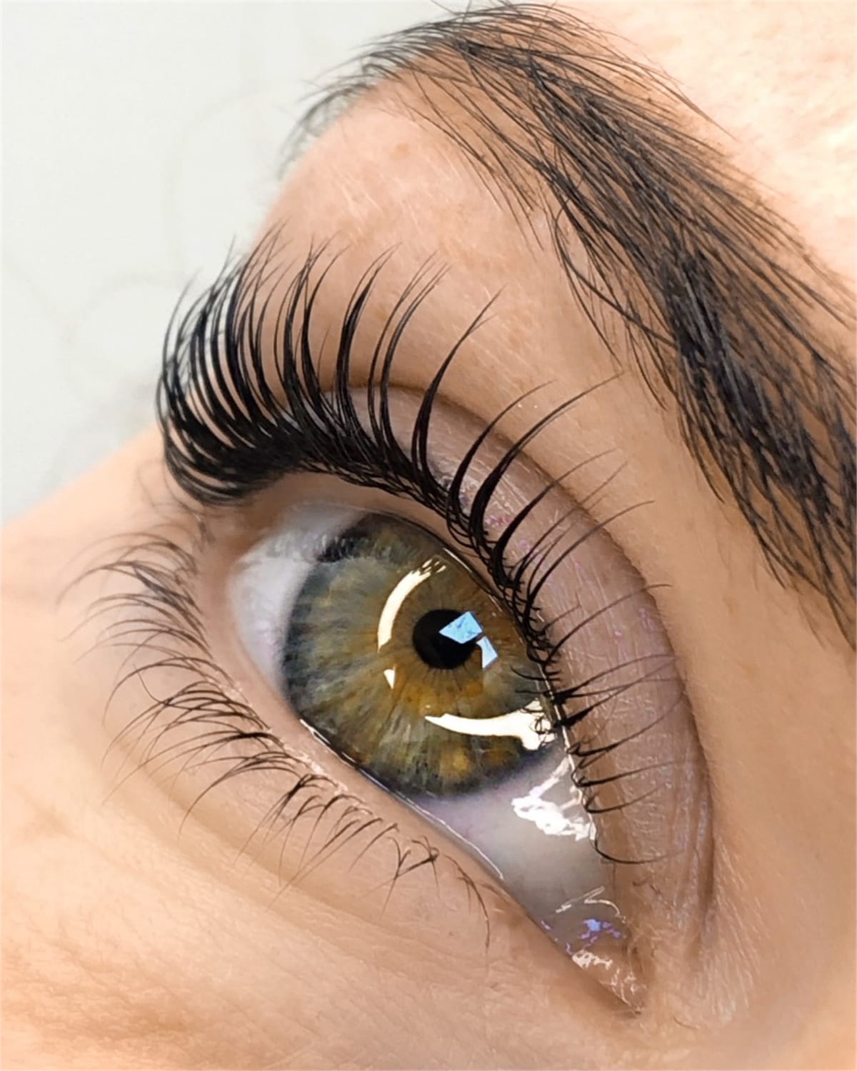 Lash and brow results by Semmy Beauty, Venice FL