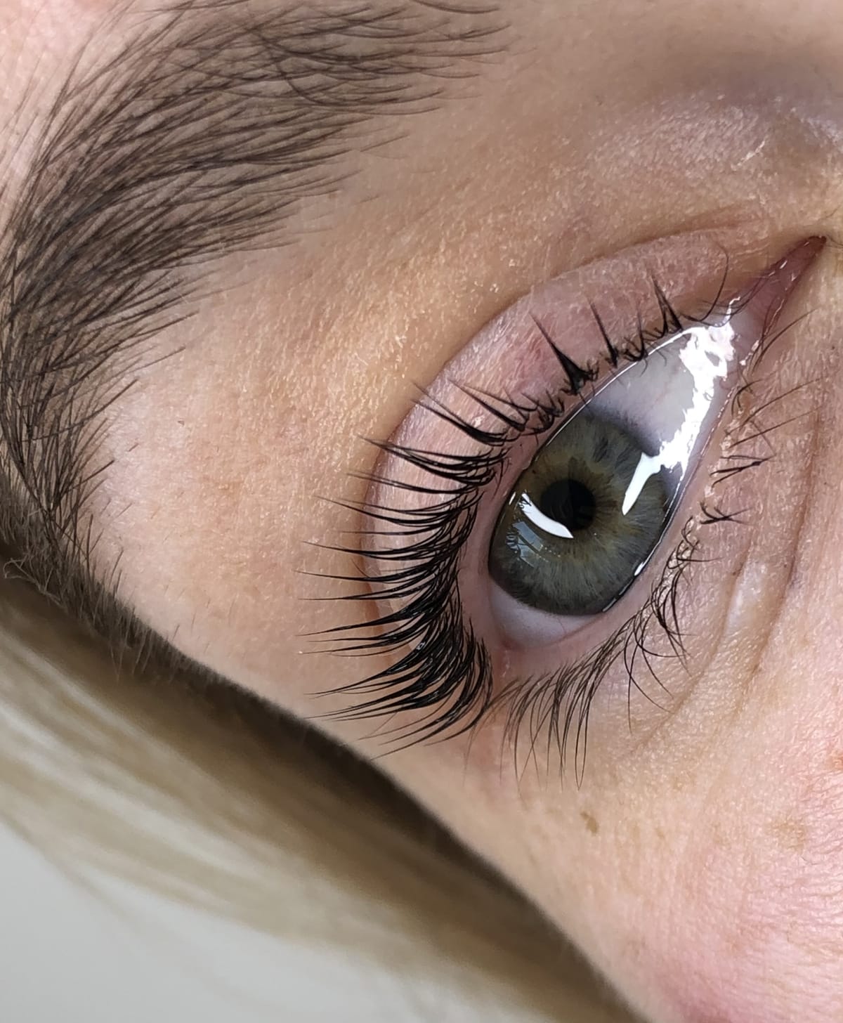 Lash and brow results by Semmy Beauty, Venice FL