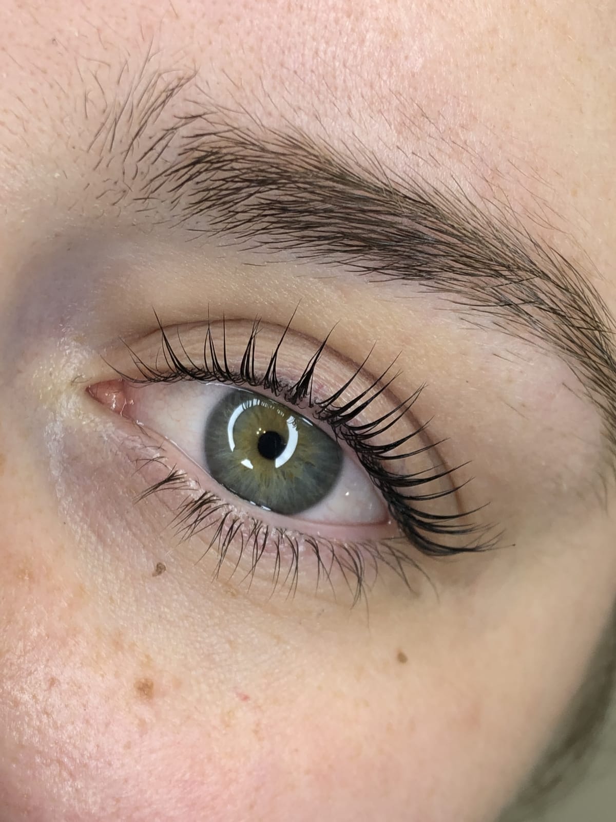 Lash and brow results by Semmy Beauty, Venice FL